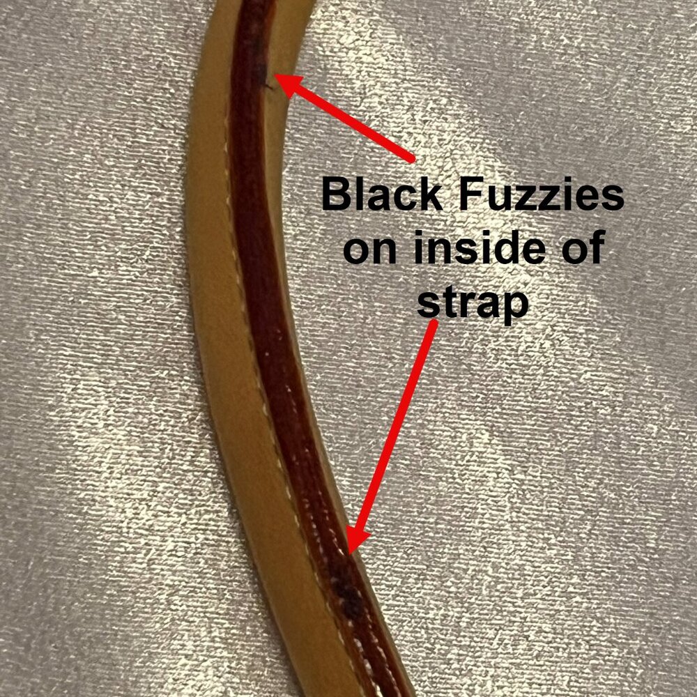 Dooney & Bourke Signature Buckle Satchel – Grey/White with Natural Trim - Picture 15 of 16